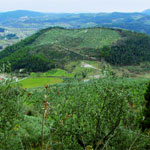 Foto Itinerario