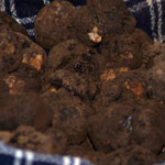 Tartufo nero di Norcia